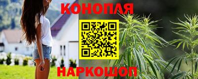 a pvp Обь