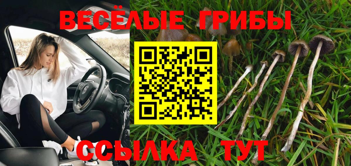 Тимашёвск  Галлюциногенные грибы GOLDEN TEACHER  наркошоп  Вход с VPN 
